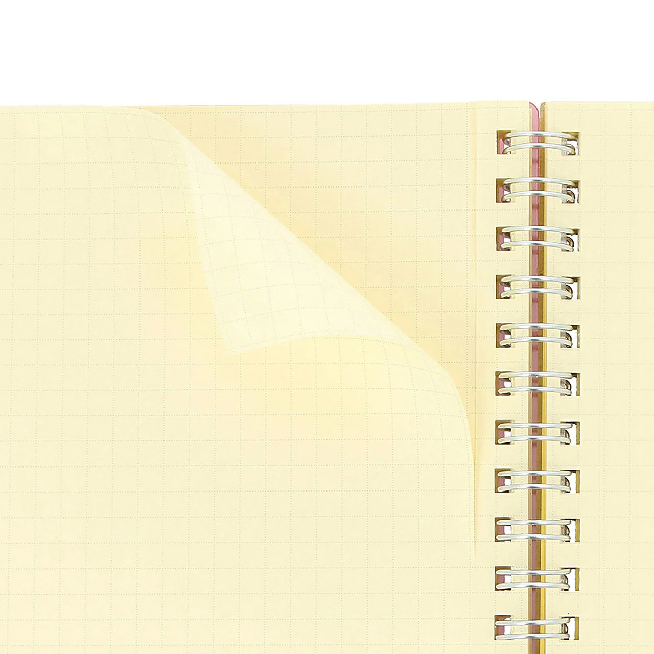 Rollbahn Large Spiral Notebook Clear - Image 2