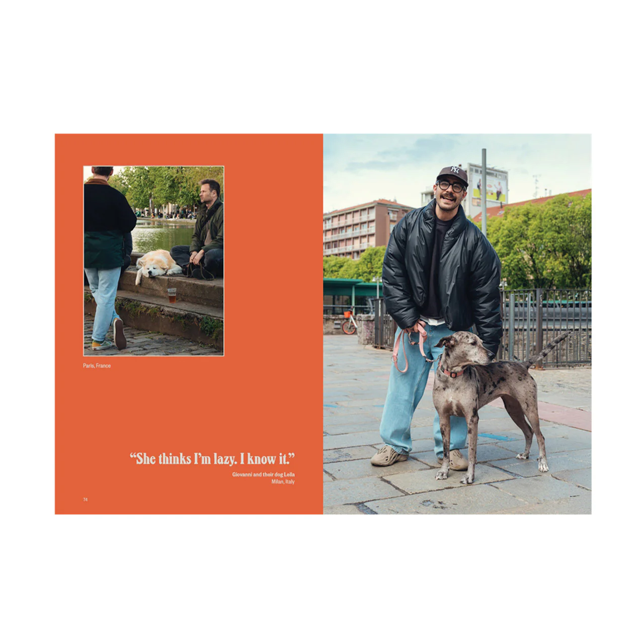 Dog's Best Friend - Image 5