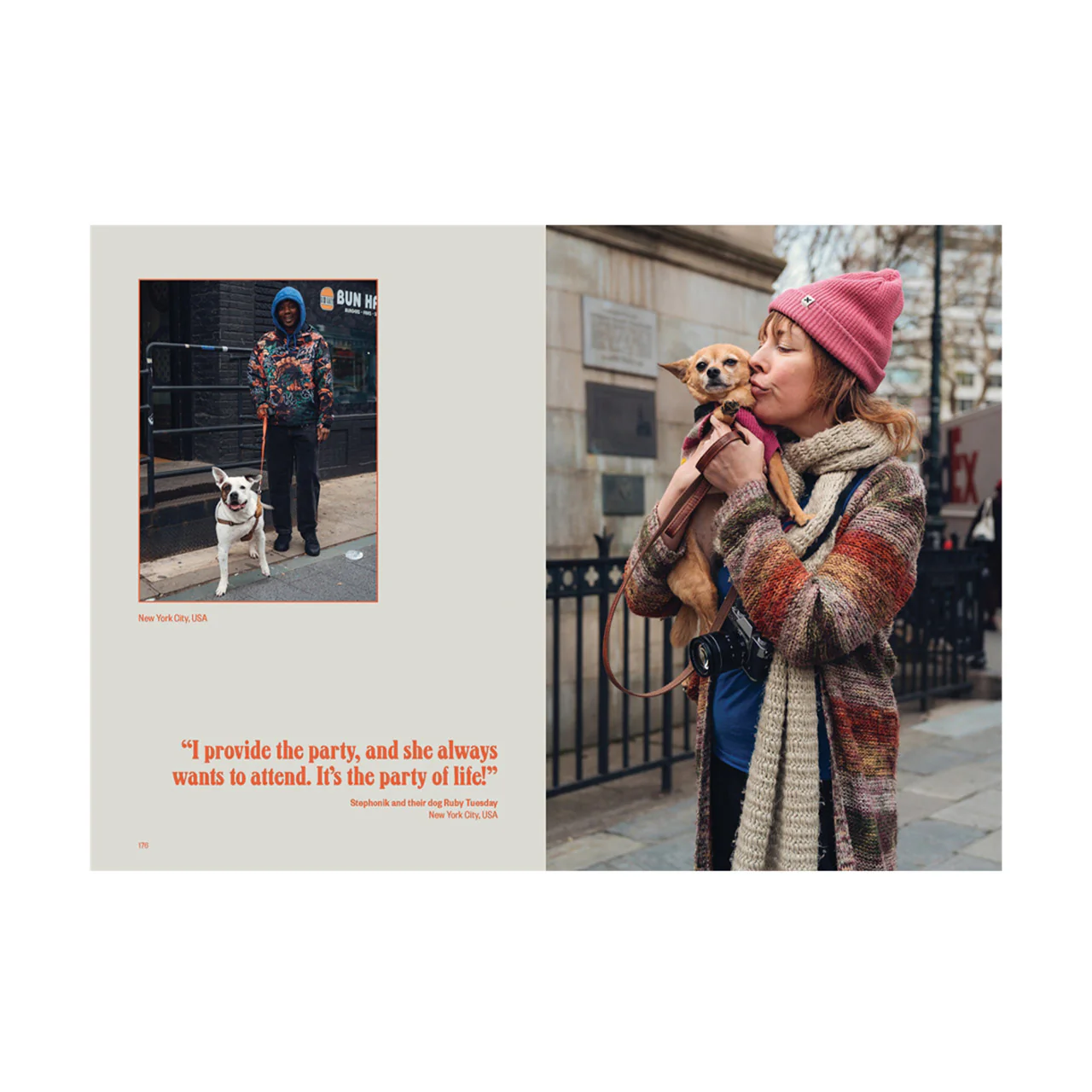 Dog's Best Friend - Image 6