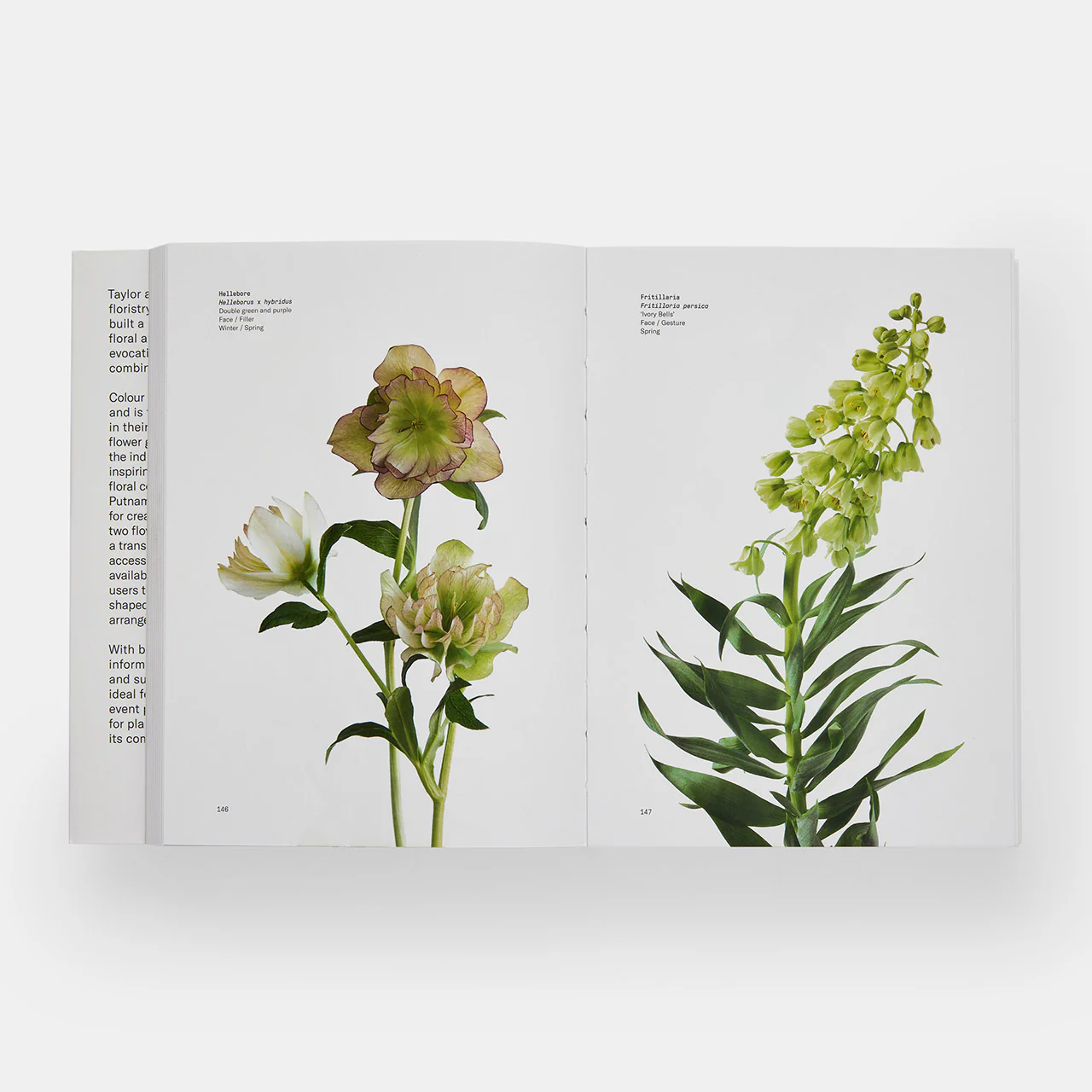 Flower Colour Guide - Image 3