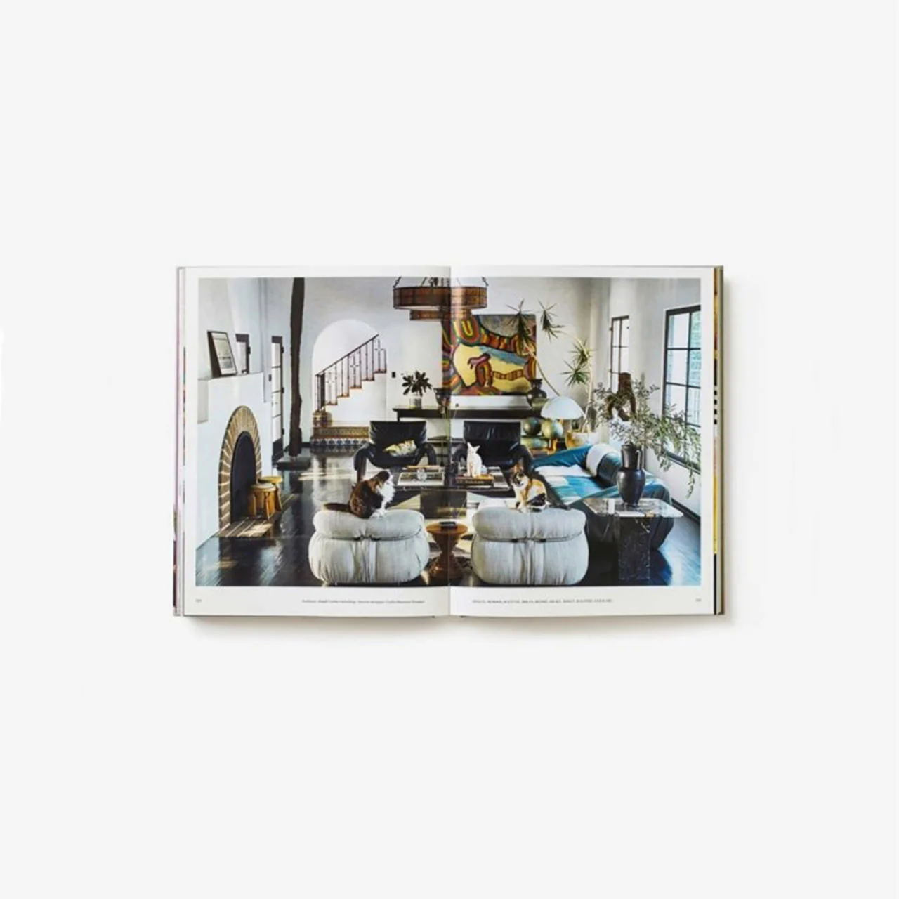 House Cat - Image 6