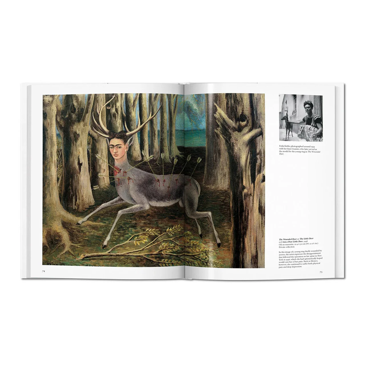 Kahlo - Image 6