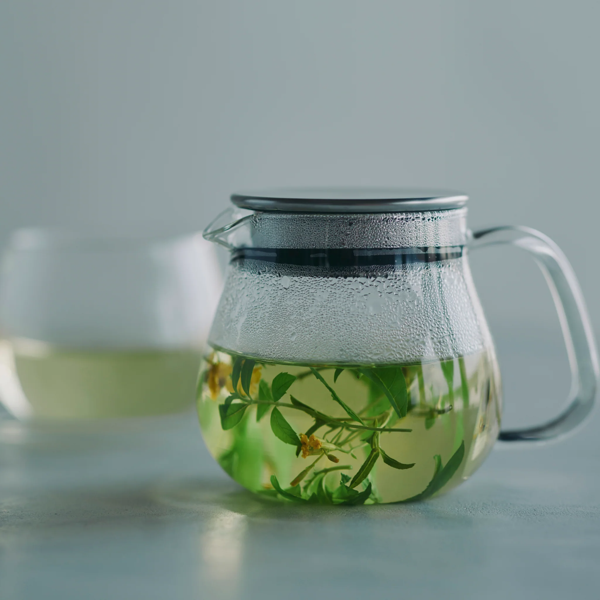 Unitea One Touch Teapot - Image 2