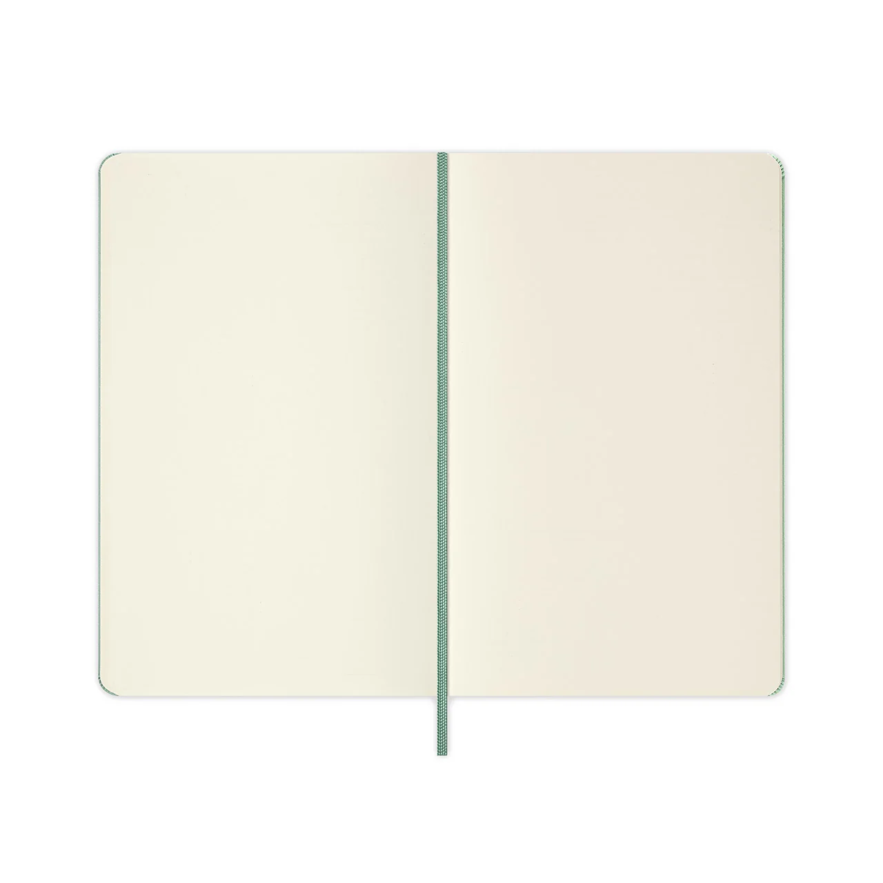 Classic Large Hard Cover Notebook Sage - Image 6