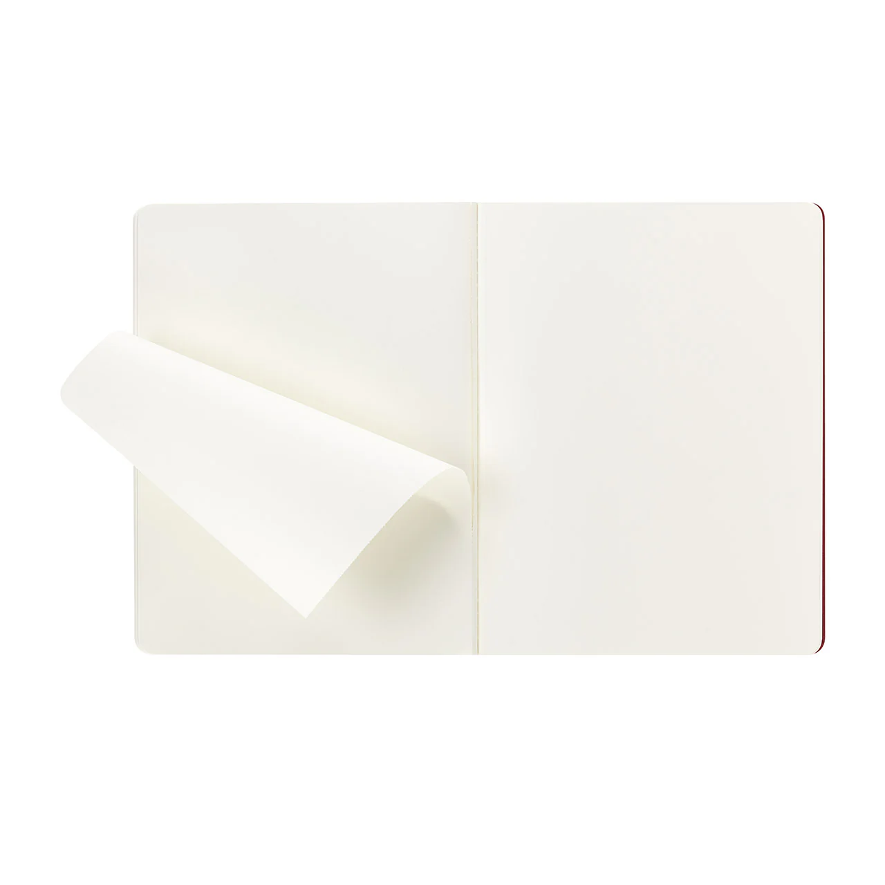 Student Cahier Notebook Extra Extra Large - Image 13