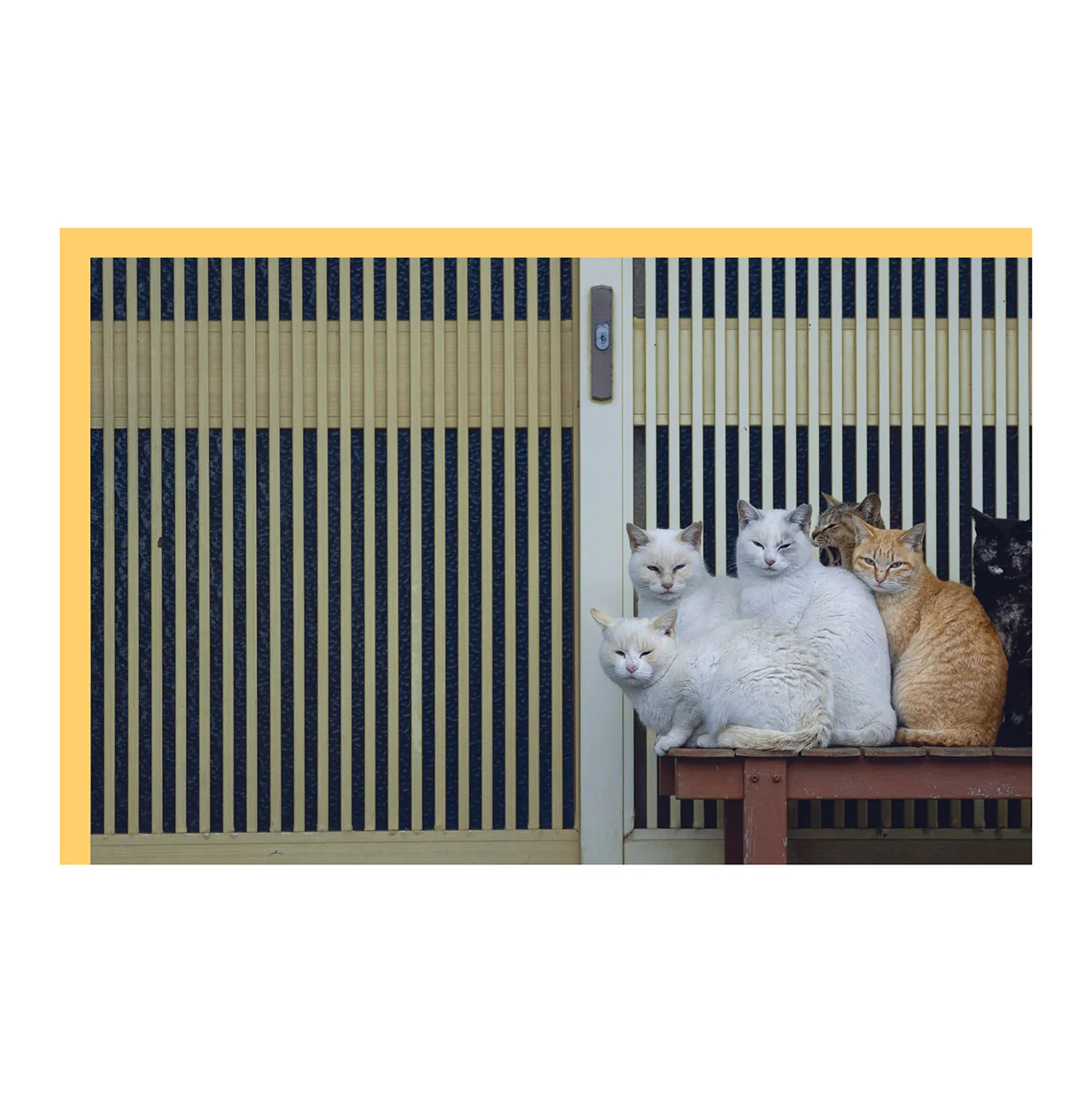 Neko: Cats of Japan - Image 3