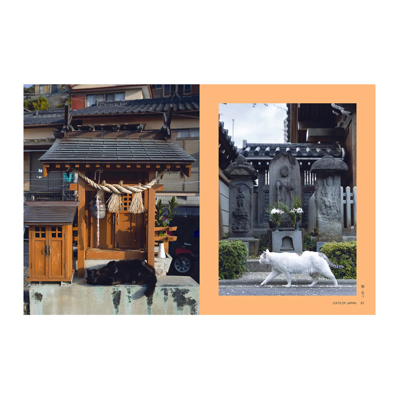 Neko: Cats of Japan - Image 4