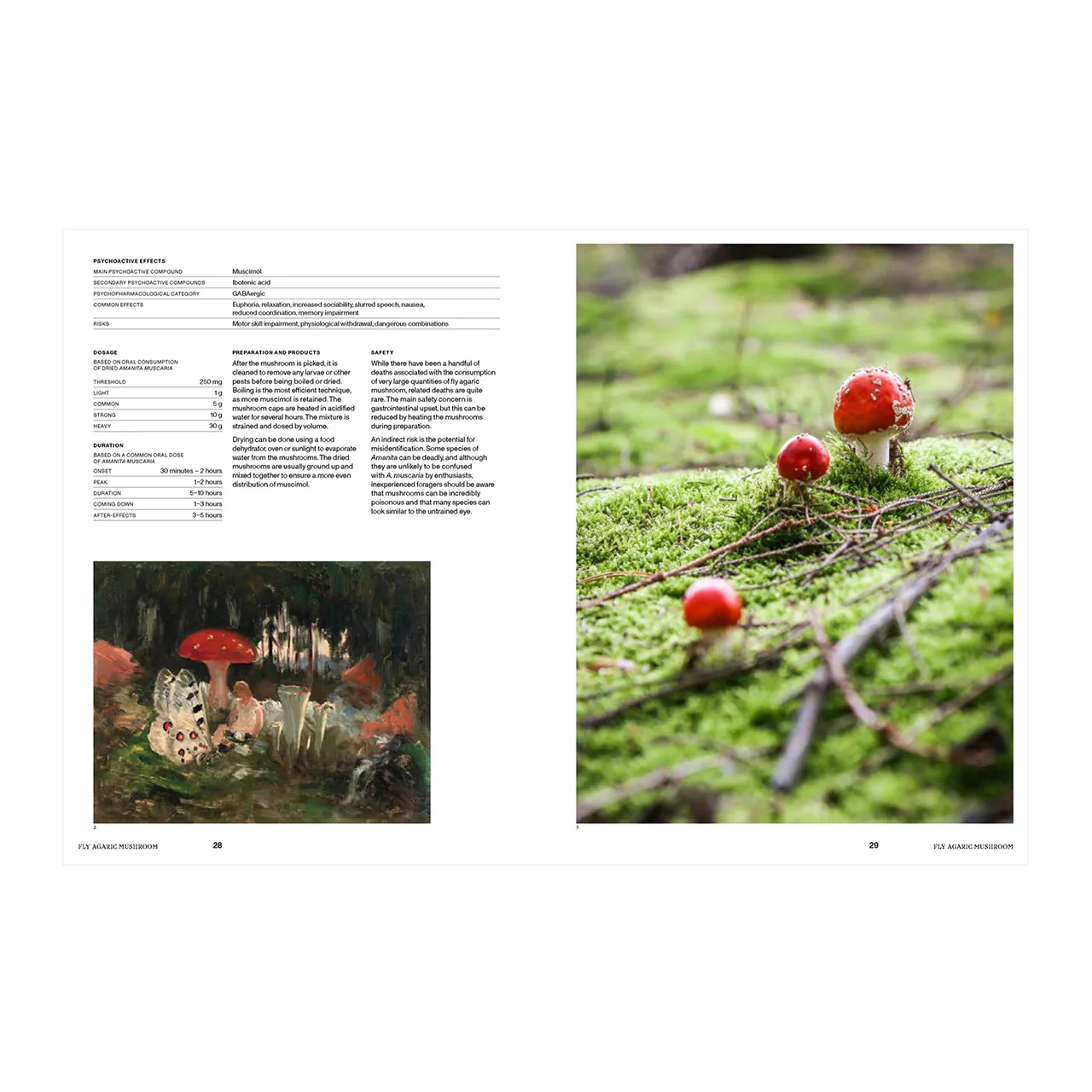 Psychoactive Plants and Fungi - Image 4
