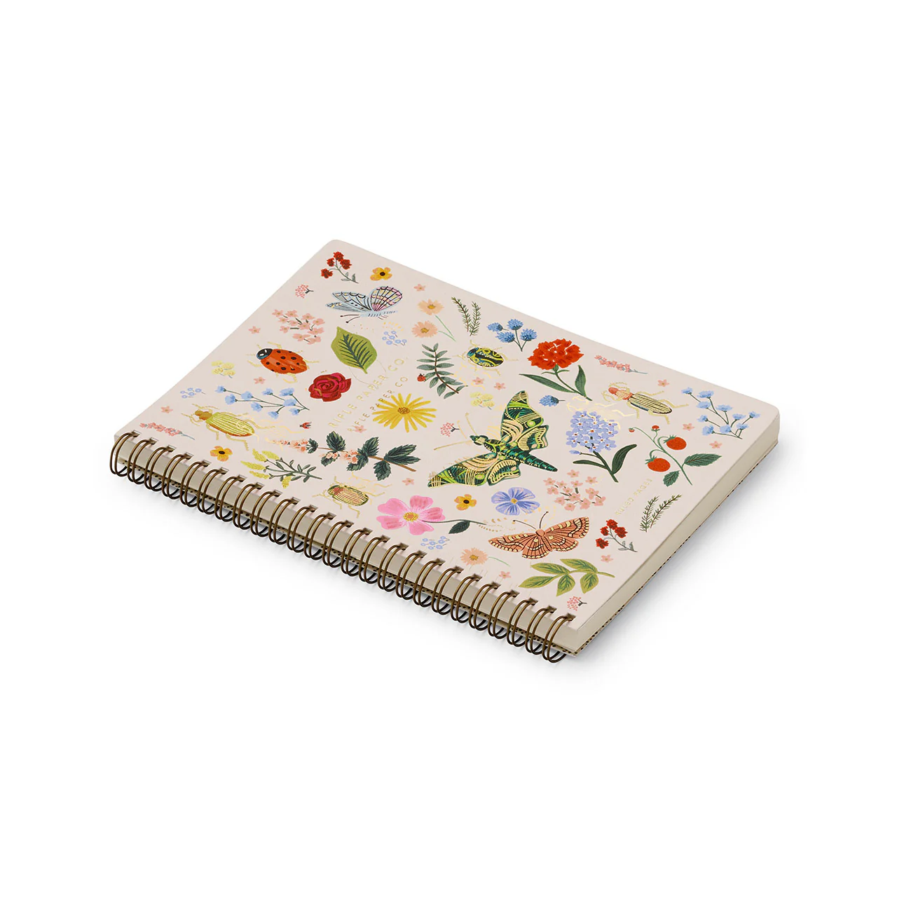 Curio Spiral Notebook - Image 3