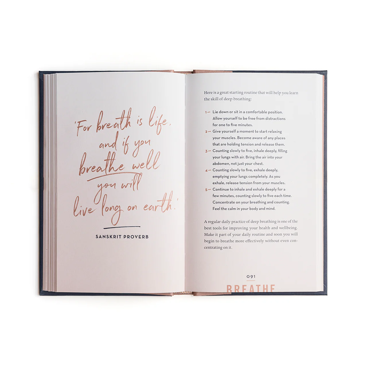Shine: 20 Secrets to a Happy Life - Image 5