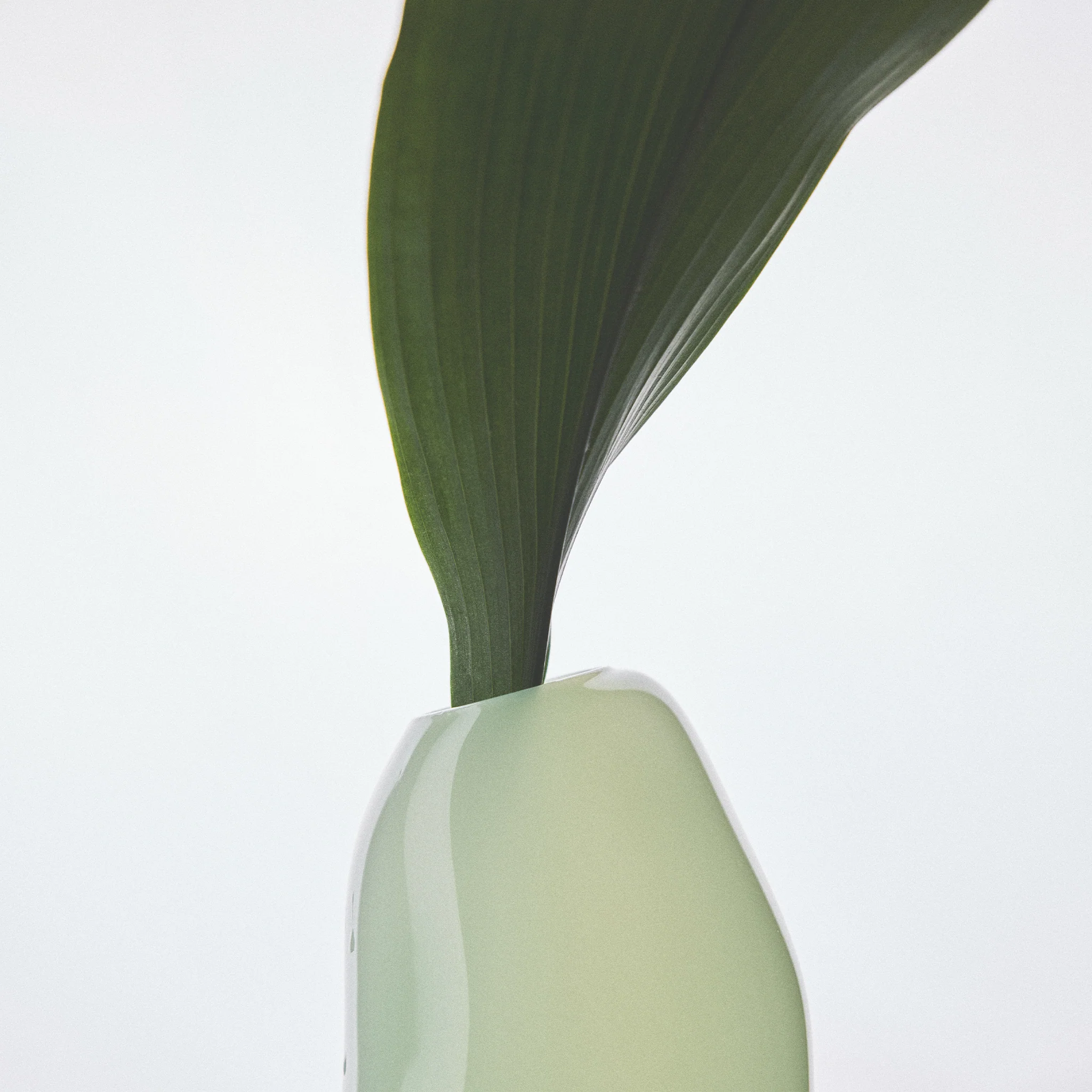 Pistachio Casper Vase Large - Image 2