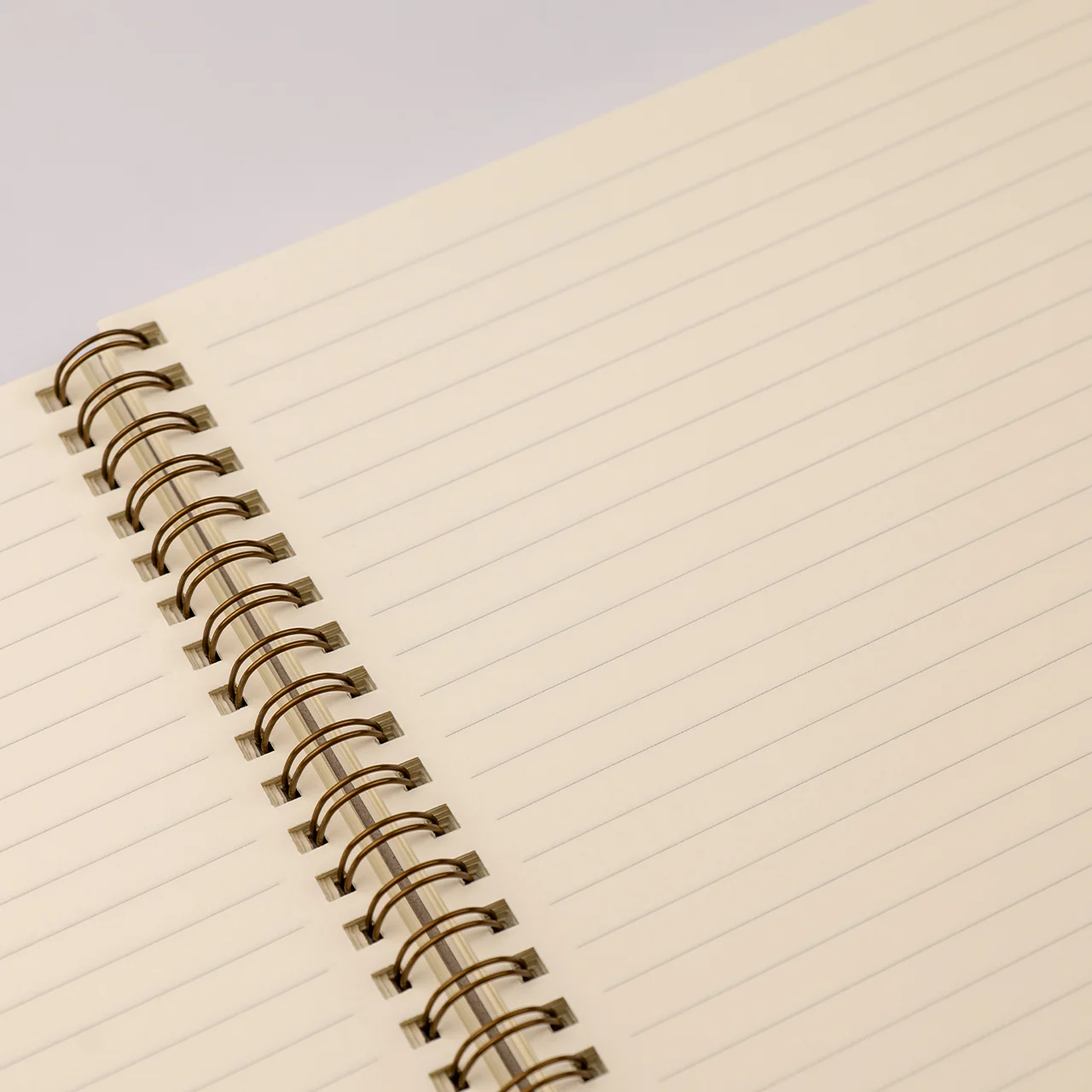 Spiral Bound Notebook Ruled B5 Forest - Image 3