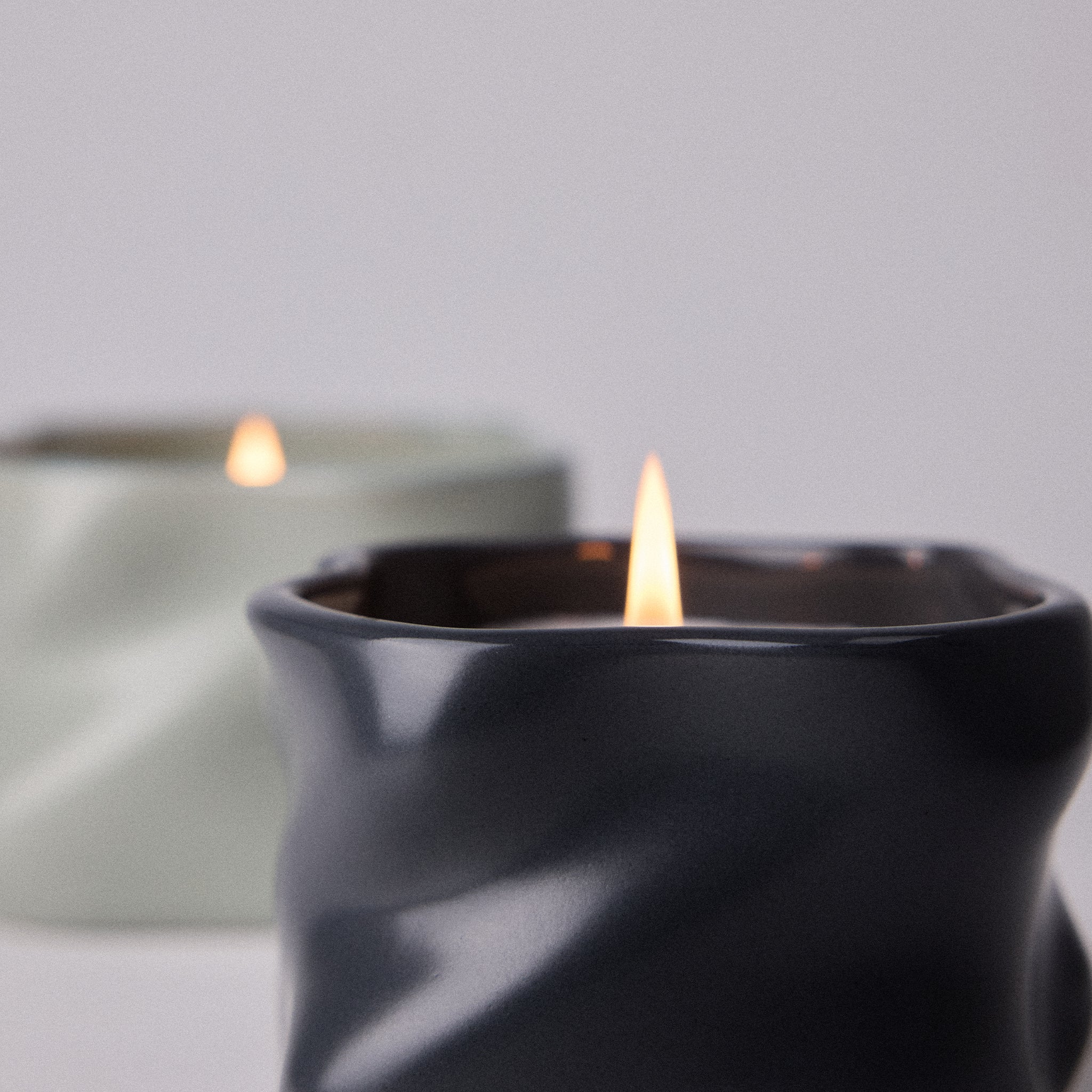 Study Of Trees Limited Edition Scented Candle