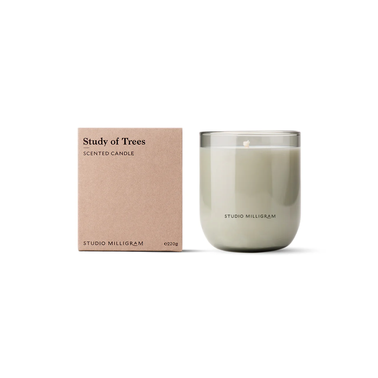 Study of Trees Scented Candle