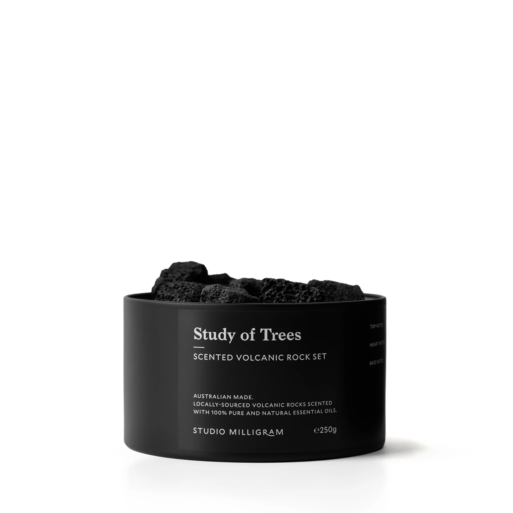 Study Of Trees Volcanic Rocks Tin - Image 3