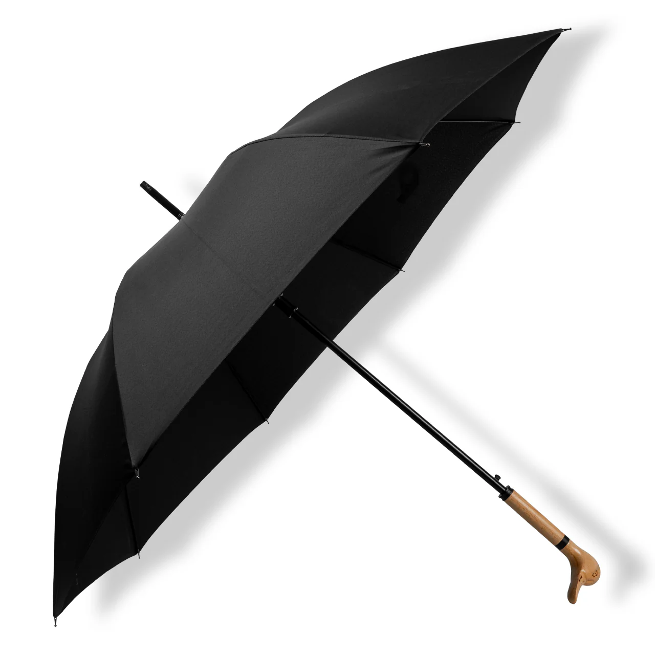 Large Animal Head Umbrella
