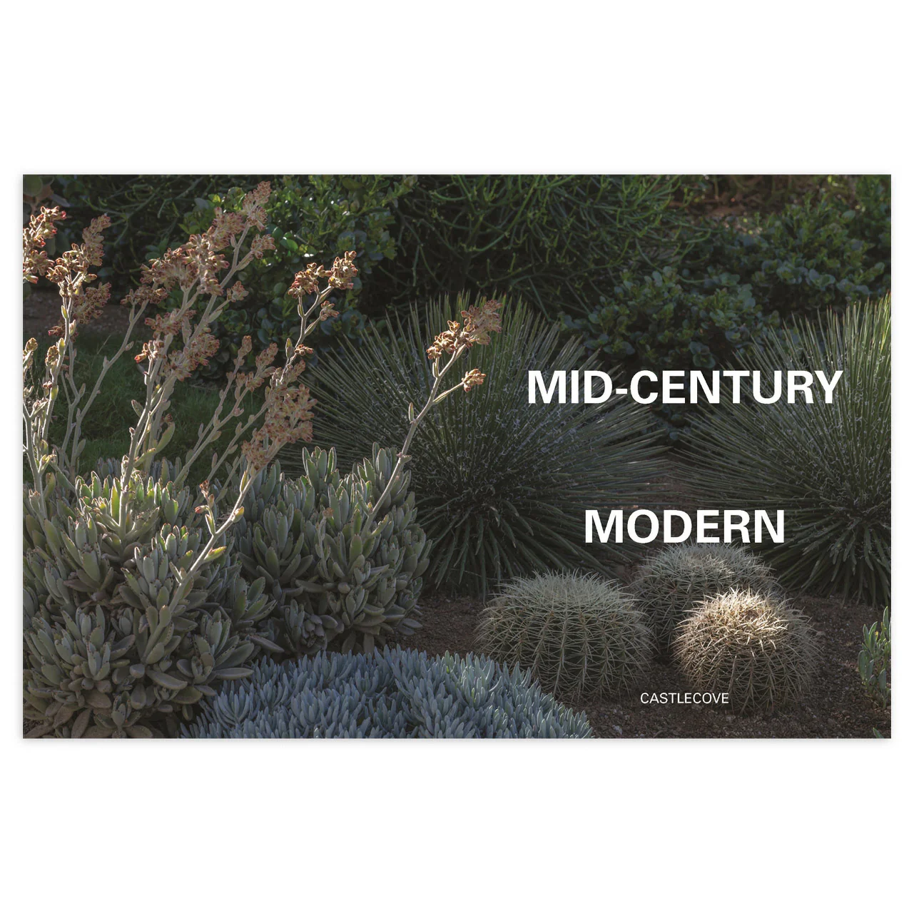 The City Gardener: Contemporary Urban Gardens - Image 4
