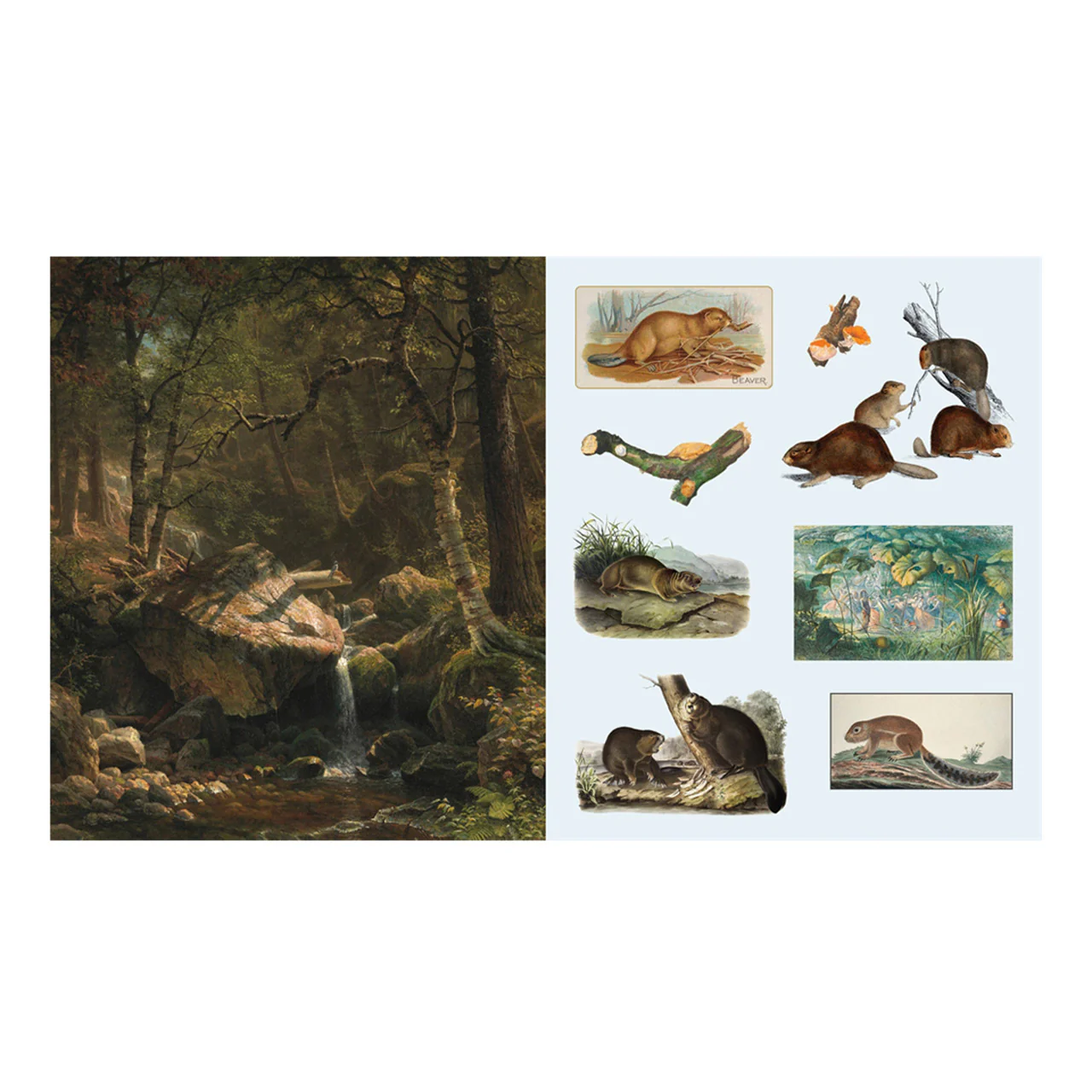 The Sticker Treasury of Woodland Adventures - Image 3