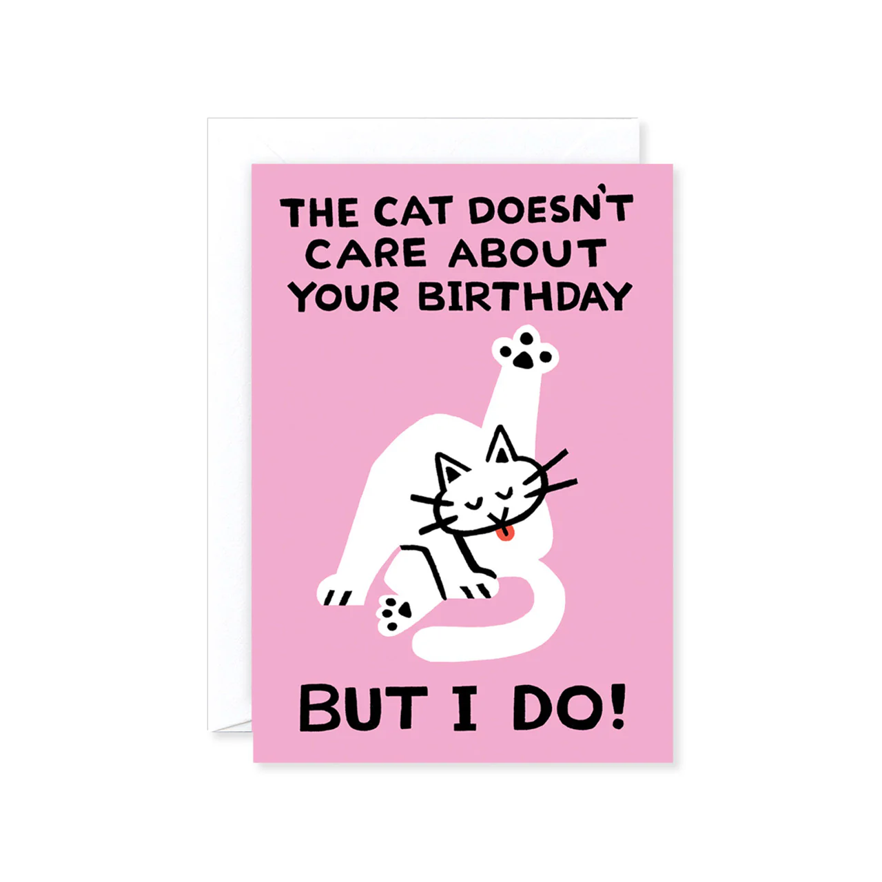 The Cat Doesn't Care Birthday Card