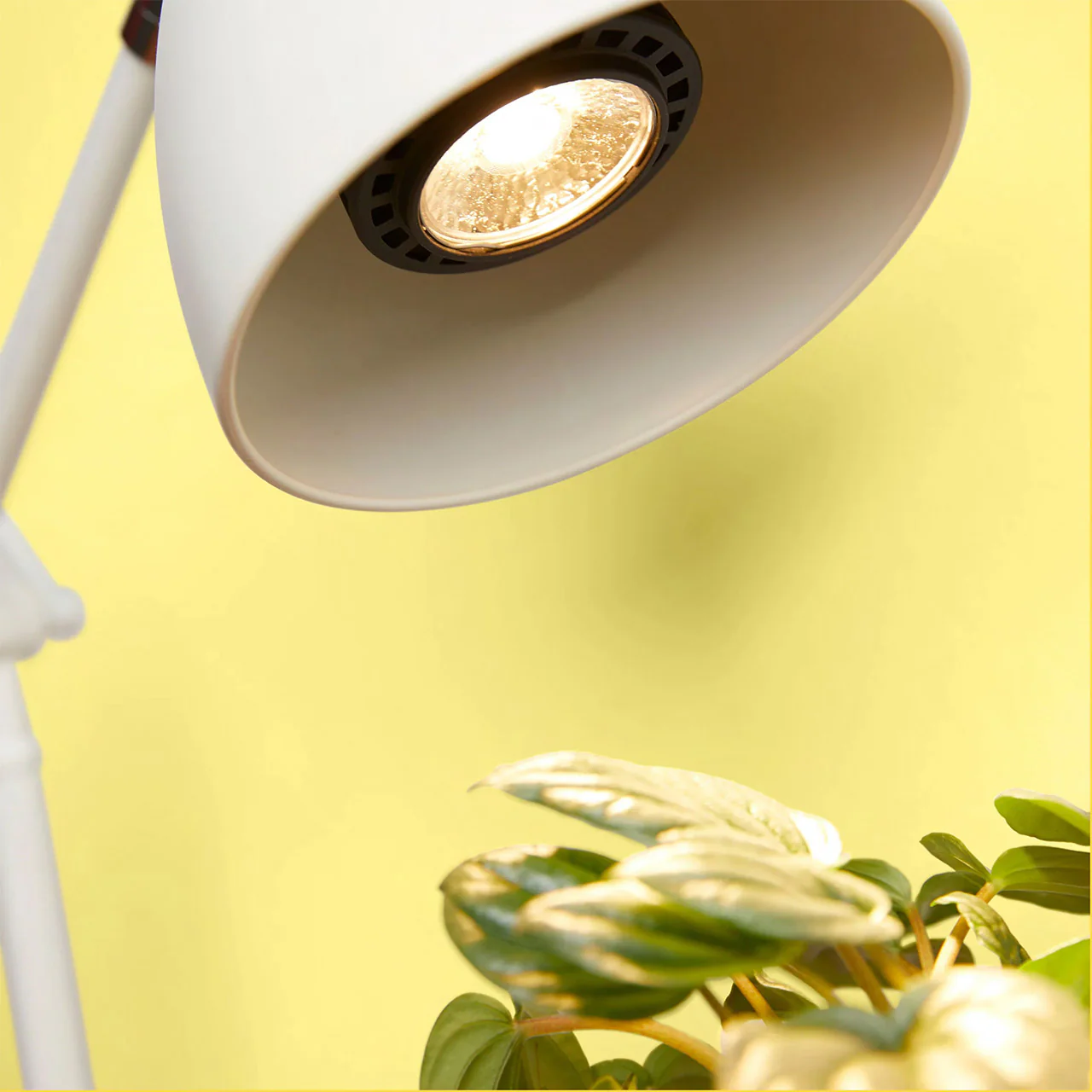 Instant Sun Glow Bulb - Image 2